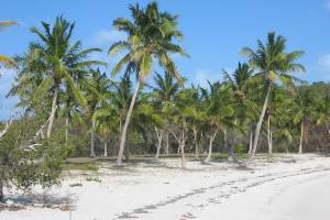 île à vendre aux bahamas